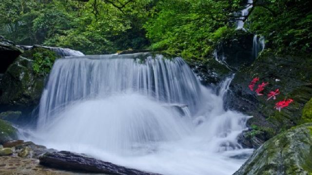 亚木沟风景区门票,铜仁亚木沟风景区攻略/地址/图片