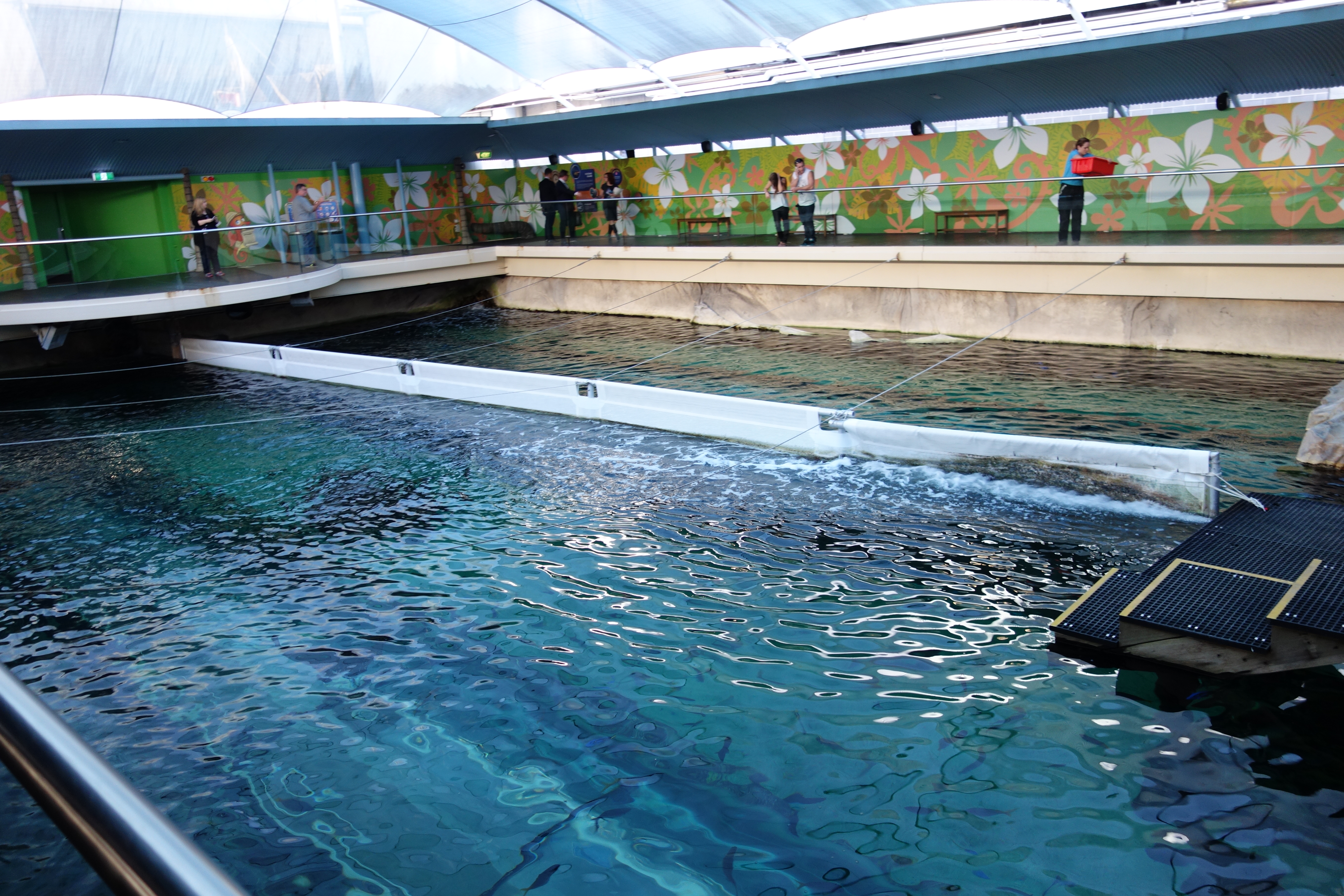 海德公园 这个最好提前订票,现场买票还是要贵一点 悉尼水族馆