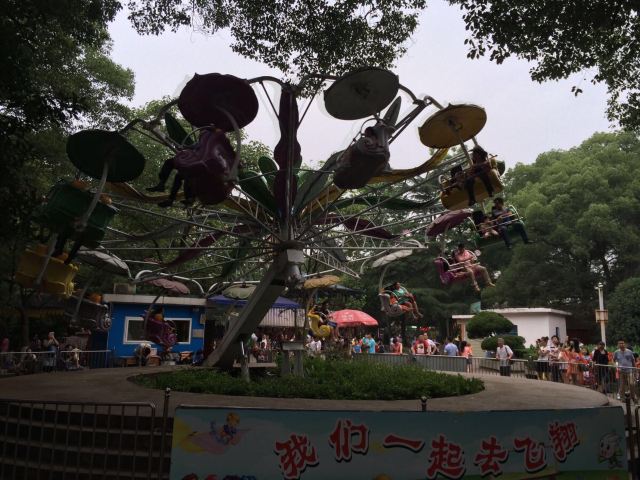 宜昌61儿童节儿童公园一三峡人家二日游,说走就走的旅行第二季