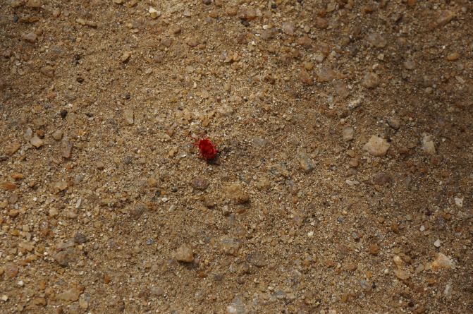 亲子游斯里兰卡8日7晚自由行实用攻略 - 斯里兰