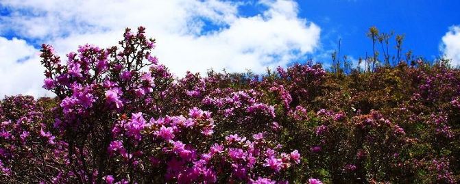 中国最美景观大道--川藏线的十大绝美风景 - 稻
