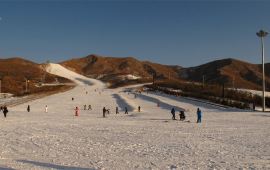 九台天气预报,历史气温,旅游指数,九台一周天气