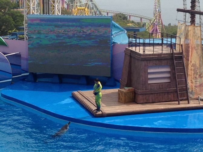 上海到香港澳门5天4夜自由行,详细准备+海洋公