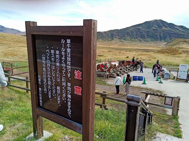 南阿苏村草千里攻略 南阿苏村草千里门票 游玩攻略 地址 图片 门票价格 携程攻略