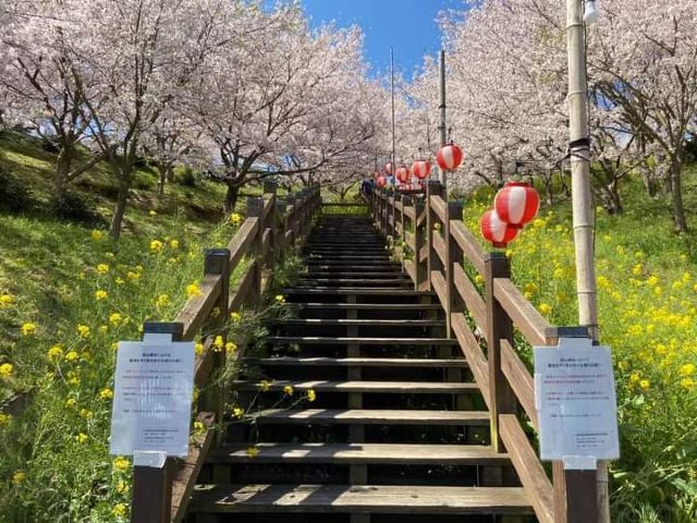 今治市開山公園攻略 今治市開山公園门票 游玩攻略 地址 图片 门票价格 携程攻略