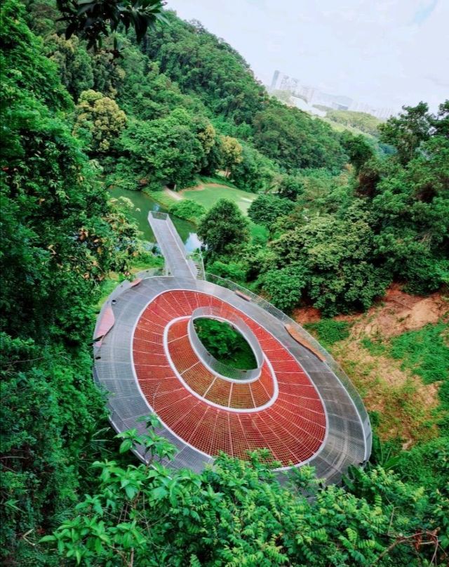 大顶岭山林公园