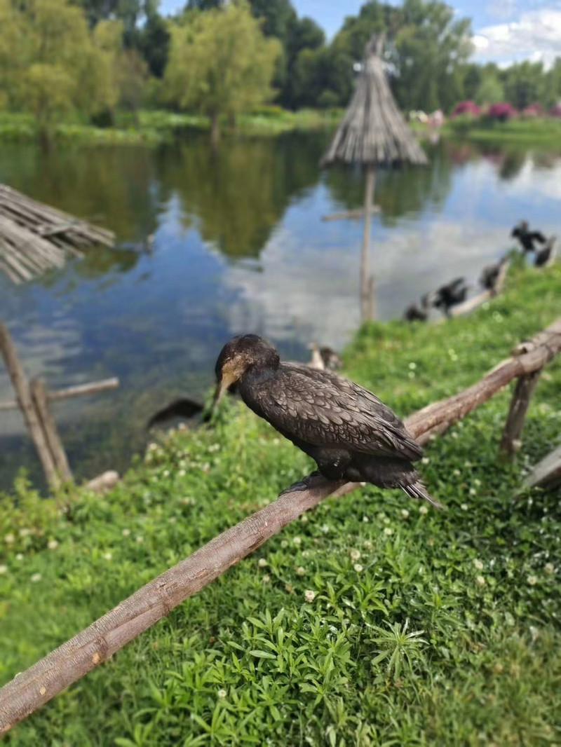 昆明旅游网
