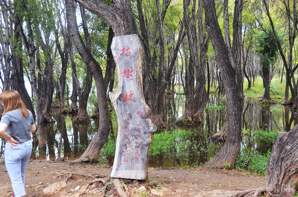 昆明旅游网