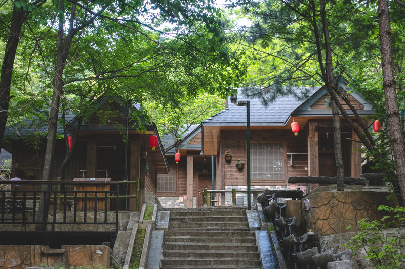 河南避暑好去处,自驾去老界岭,过三两悠闲凉爽的假期_老界岭风景区