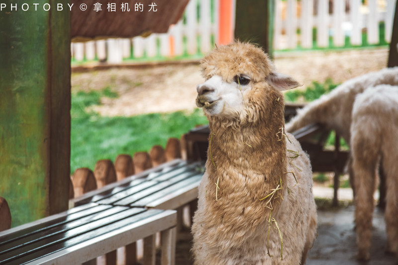 昆明旅游网