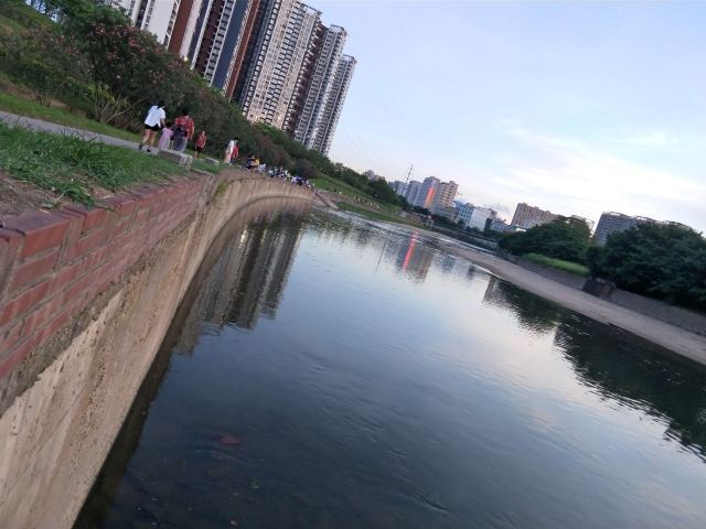 深圳清湖湿地公园攻略,深圳清湖湿地公园门票/游玩攻略/地址/图片