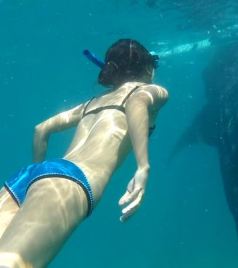阿肯色州游记图文-遇见鲸鲨丨你居然不知道杜马盖地有这么多好玩的！