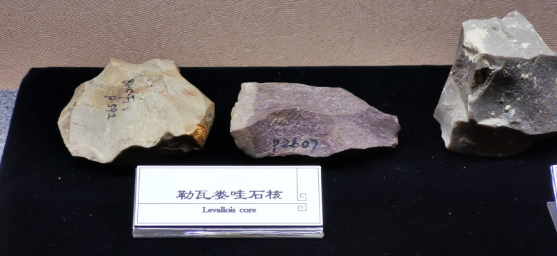 夏天，来宁夏与星辰草原和沙漠约会吧！