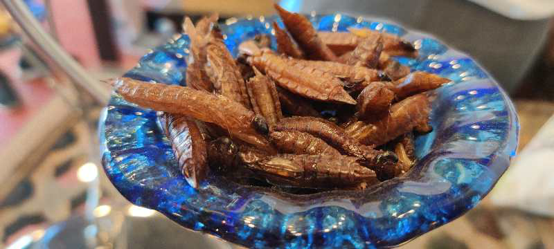 昆明旅游网
