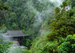 travel picture