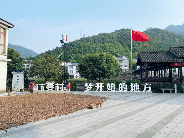 千岛湖下姜村攻略,千岛湖下姜村门票/游玩攻略/地址/图片/门票价格