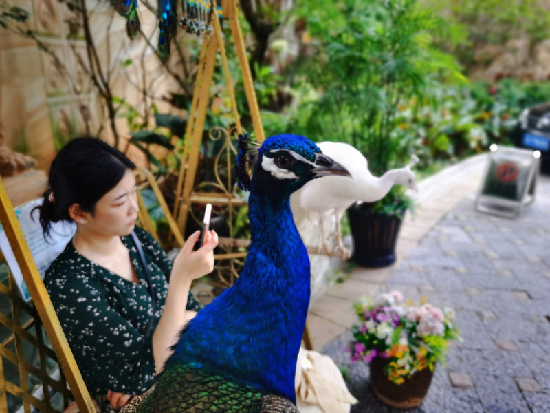 昆明旅游网