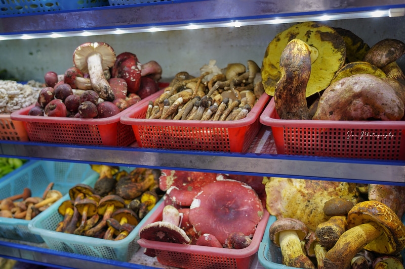 昆明旅游网