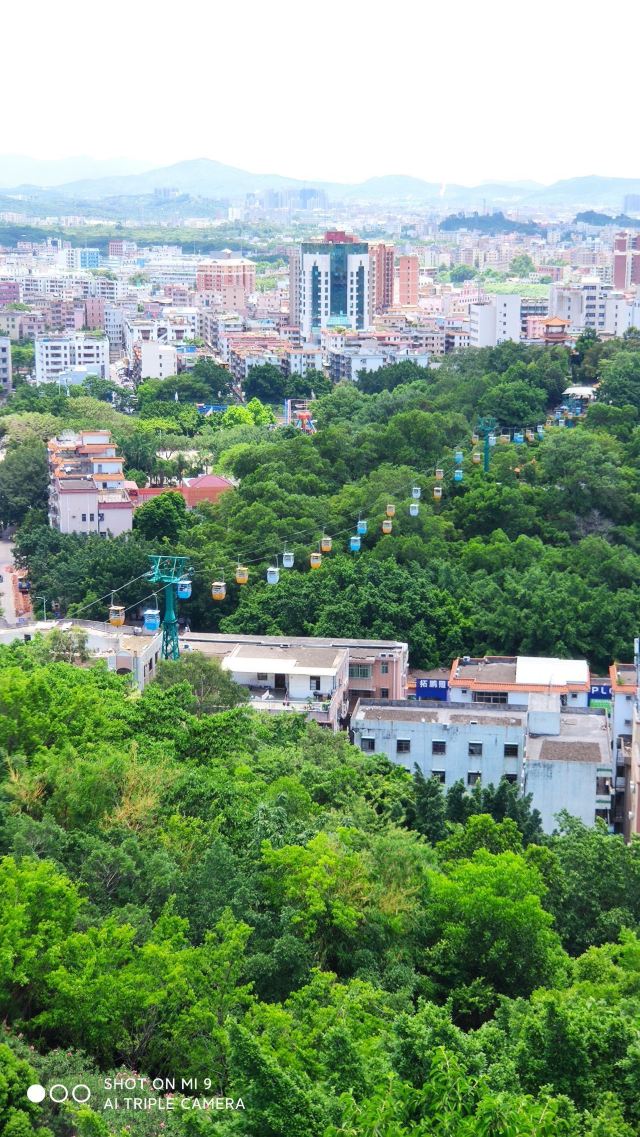 东莞塘厦观光公园攻略,东莞塘厦观光公园门票/游玩攻略/地址/图片