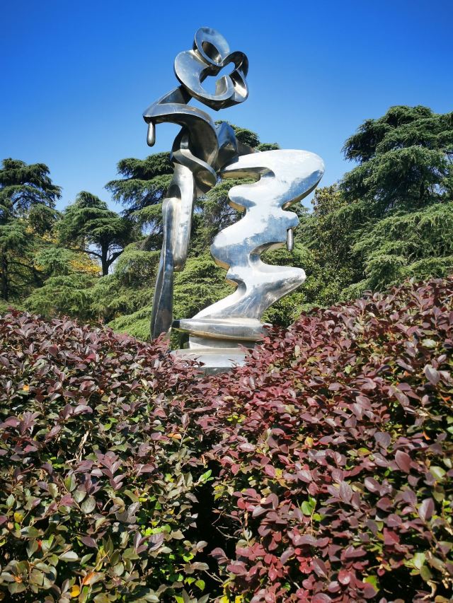 雨花茶文化区