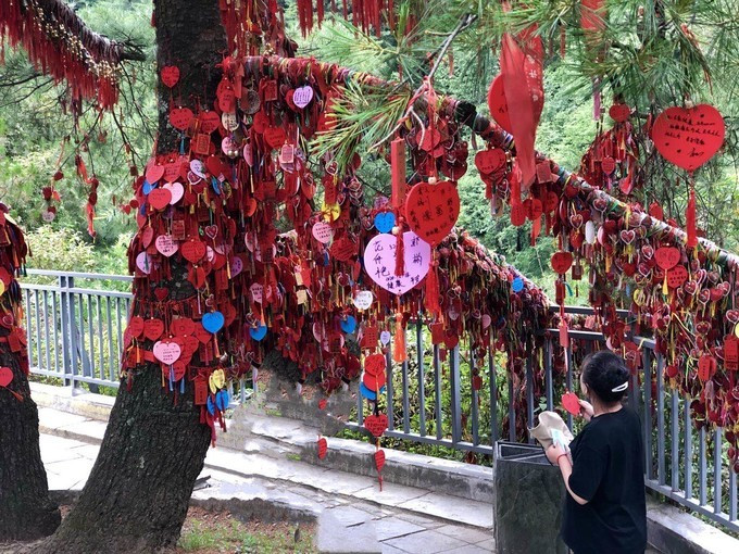 昆明旅游网