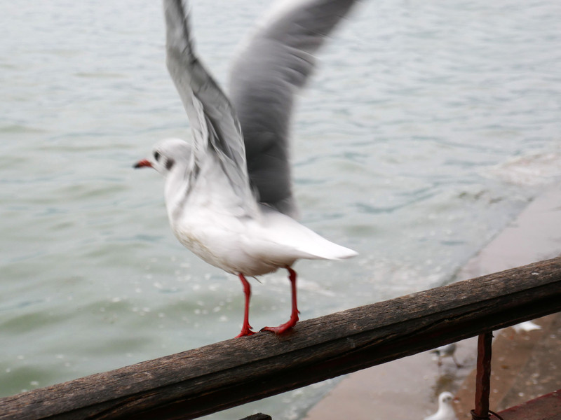 昆明旅游网