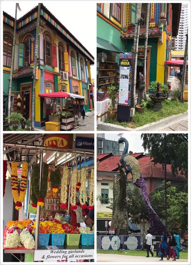 新加坡Singapore Mobility Gallery游玩攻略简介,新加坡Singapore Mobility Gallery门票/地址 ...