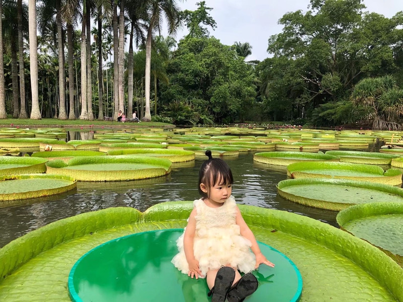 昆明旅游网