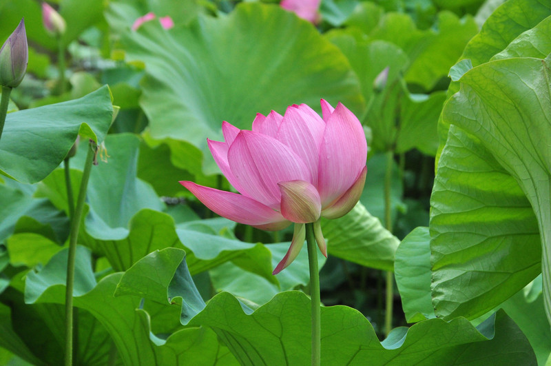 昆明旅游网