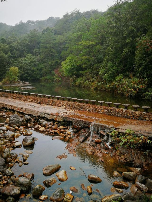 上思十万大山国家森林公园攻略,上思十万大山国家森林公园门票/游玩