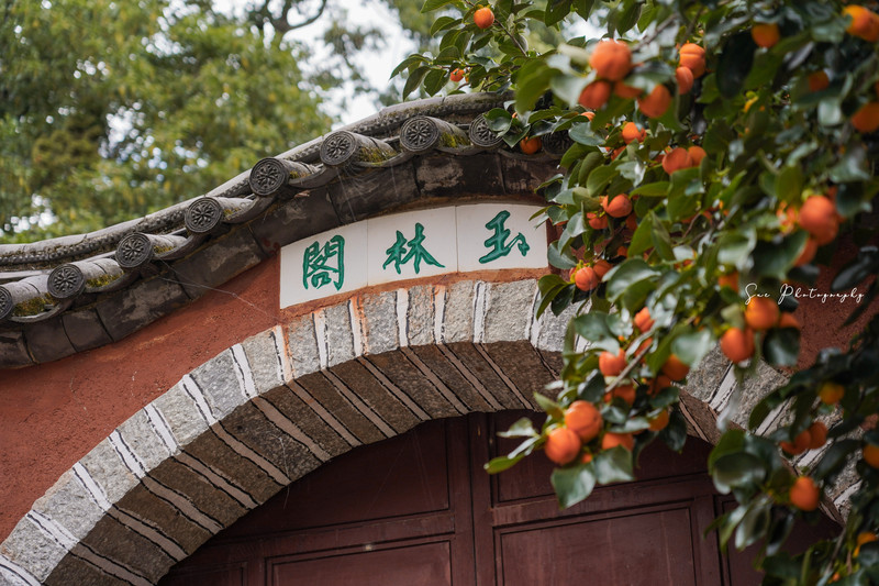 昆明旅游网