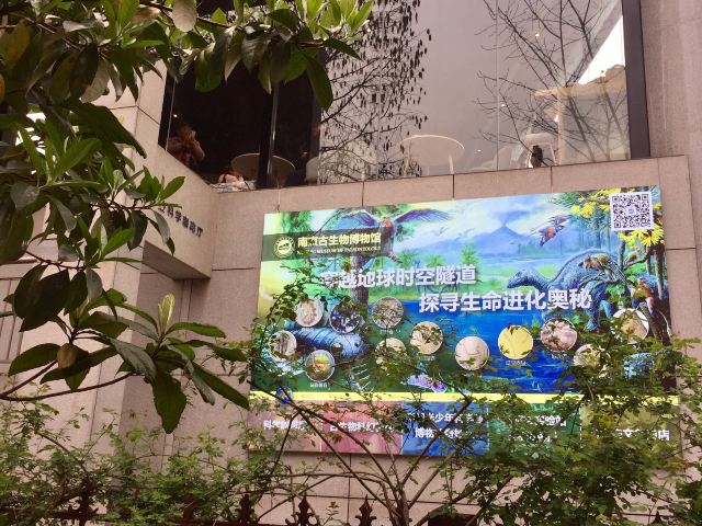 南京南京古生物博物馆攻略 南京南京古生物博物馆门票 攻略 地址 图片 门票价格 携程攻略 南京南京古生物博物馆攻略 南京南京古生物博物馆门票 攻略 地址 图片 门票价格 携程攻略