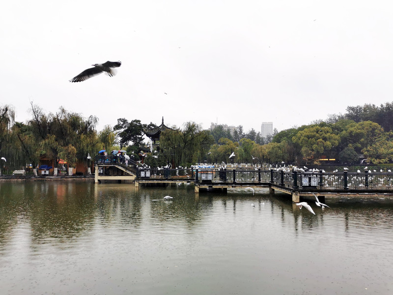昆明旅游网