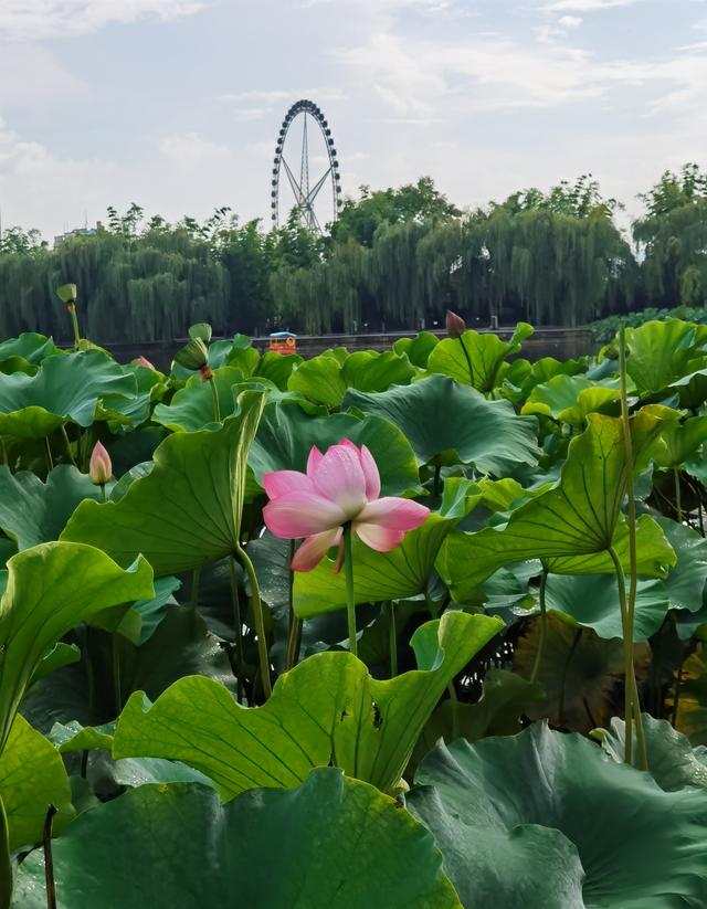 昆明旅游网