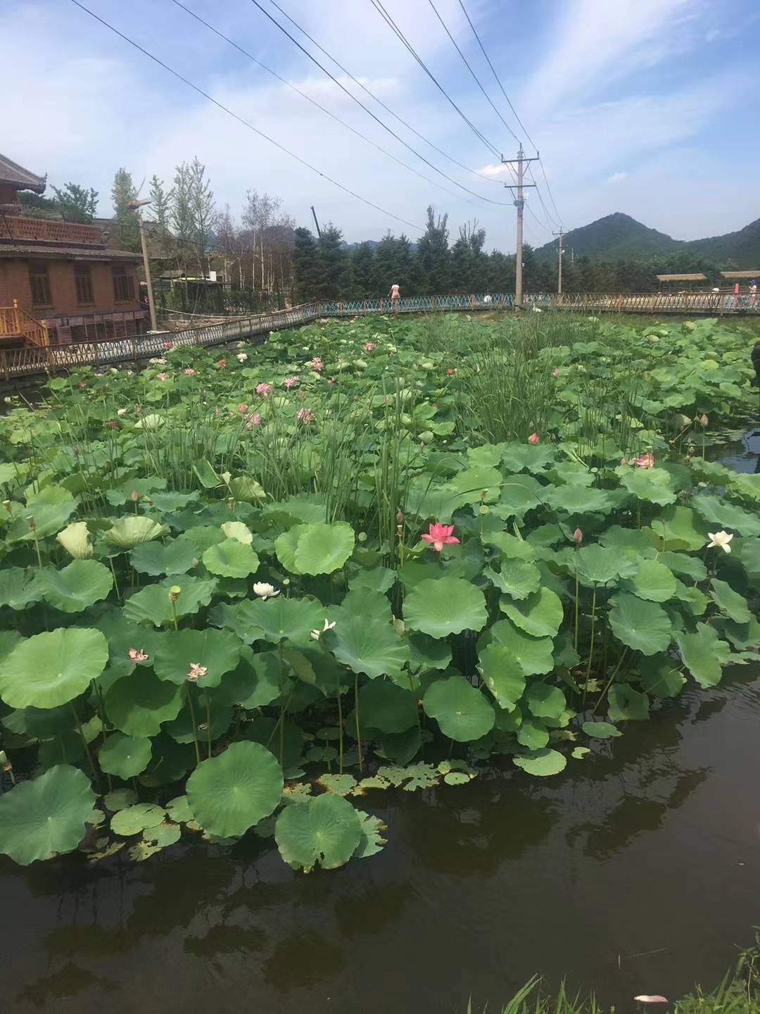 老院子景区