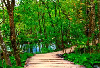 北京周口店北京人遗址博物馆一日游【大咖讲述者-精品研学】【1：5人发团，未达到发团人数则全额退款；精品小包1-6人团，多重选择。】