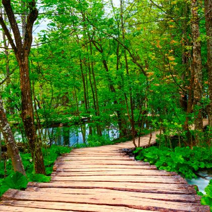 北京周口店北京人遗址博物馆一日游【大咖讲述者-精品研学】