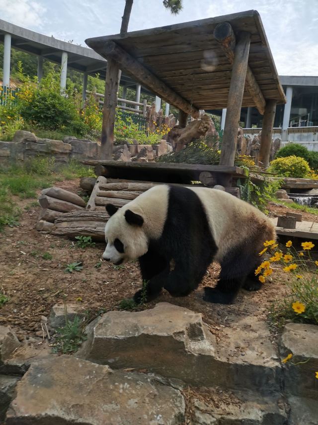 大連森林動物園