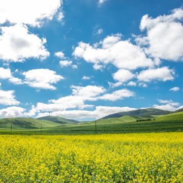 乌兰布统1日游【全程商务车 司机兼向导 独立成团 随走随停】