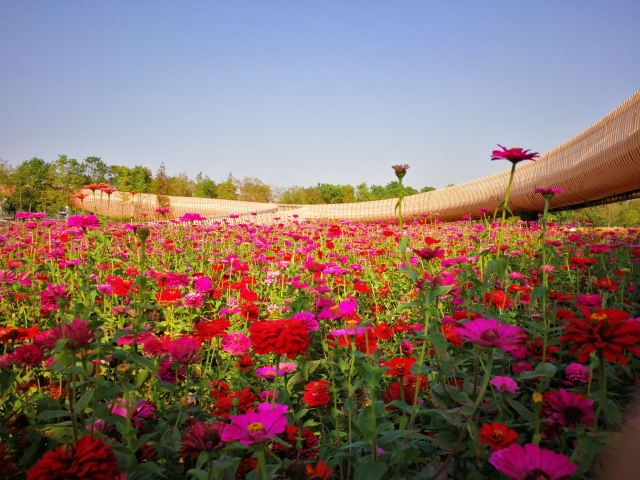 三台山国家森林公园