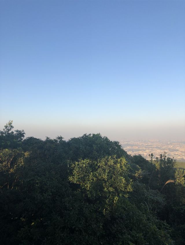 東莞大嶺山森林公園攻略,東莞大嶺山森林公園門票/遊玩攻略/地址/圖片