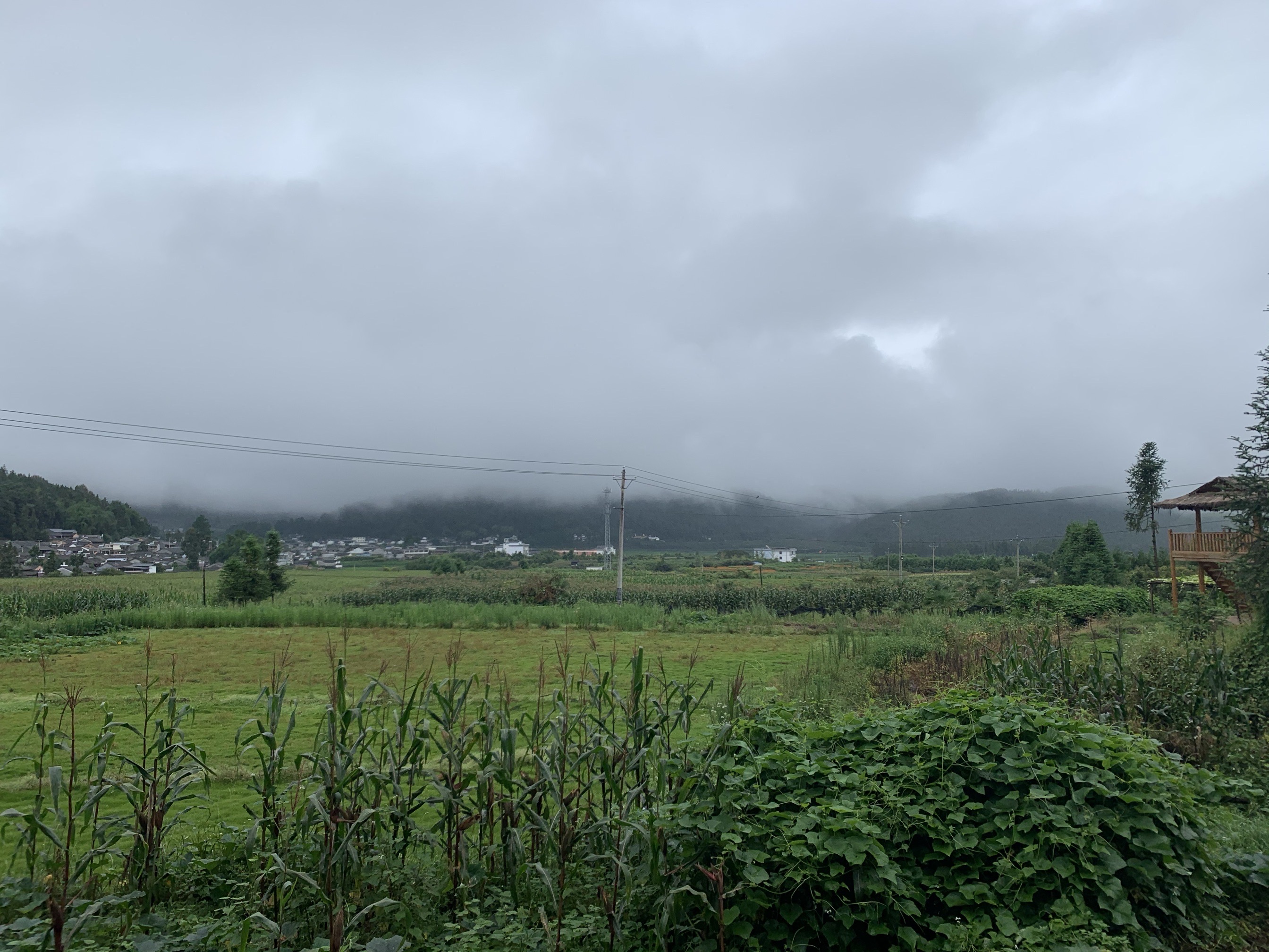 圆通寺