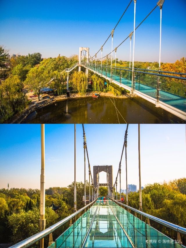 聊城姜堤乐园攻略,聊城姜堤乐园门票/游玩攻略/地址/图片/门票价格