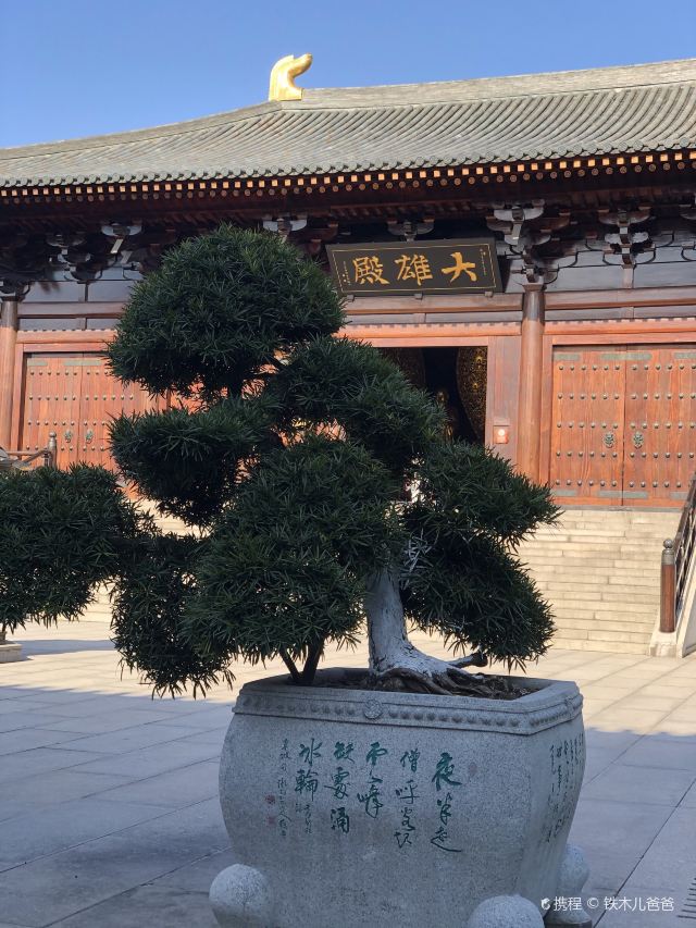 上海寶山淨寺攻略,上海寶山淨寺門票/遊玩攻略/地址/圖片/門票價格