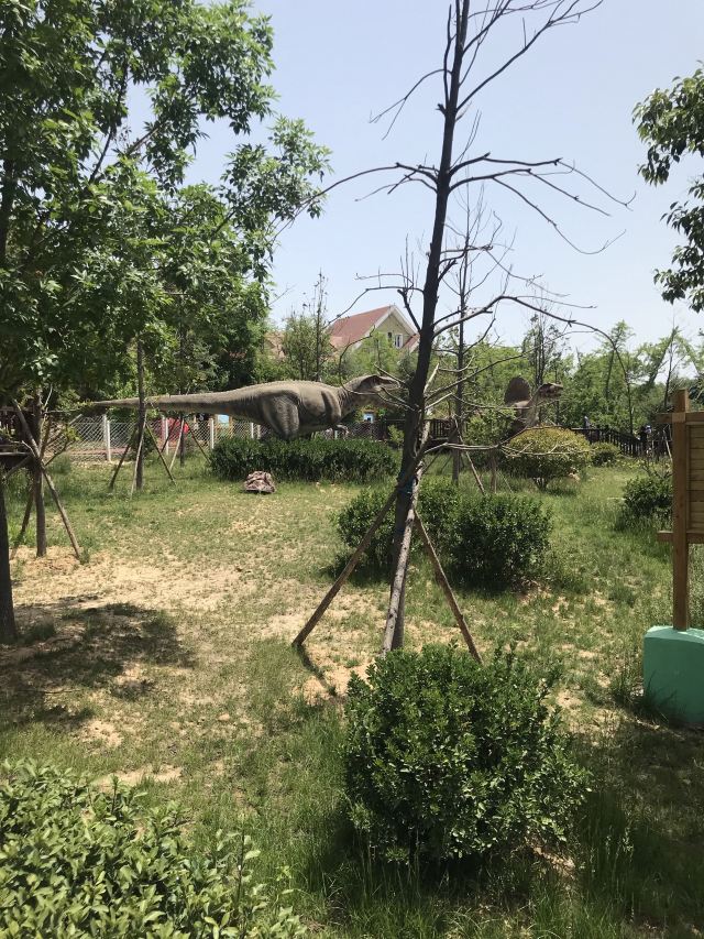 荥阳郑州松鼠部落森林假日公园攻略,荥阳郑州松鼠部落森林假日公园