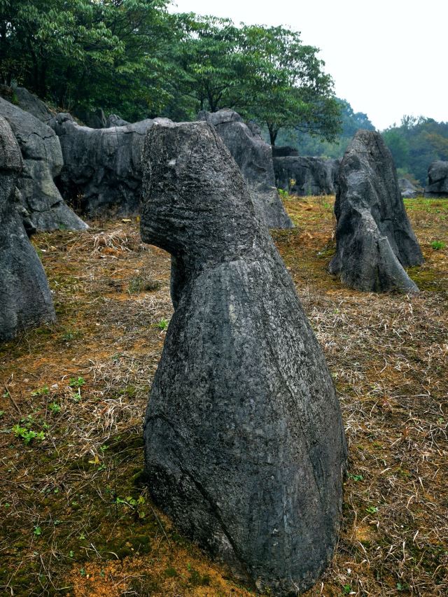 宜都市奥陶纪石林景区