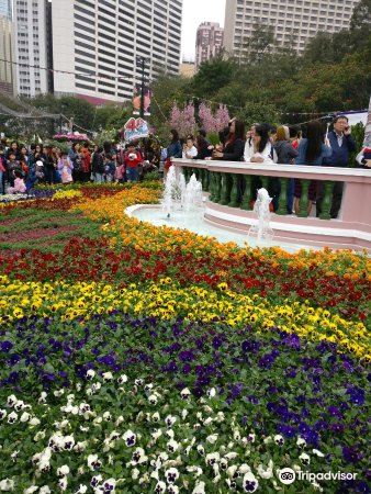 香港花卉展覽