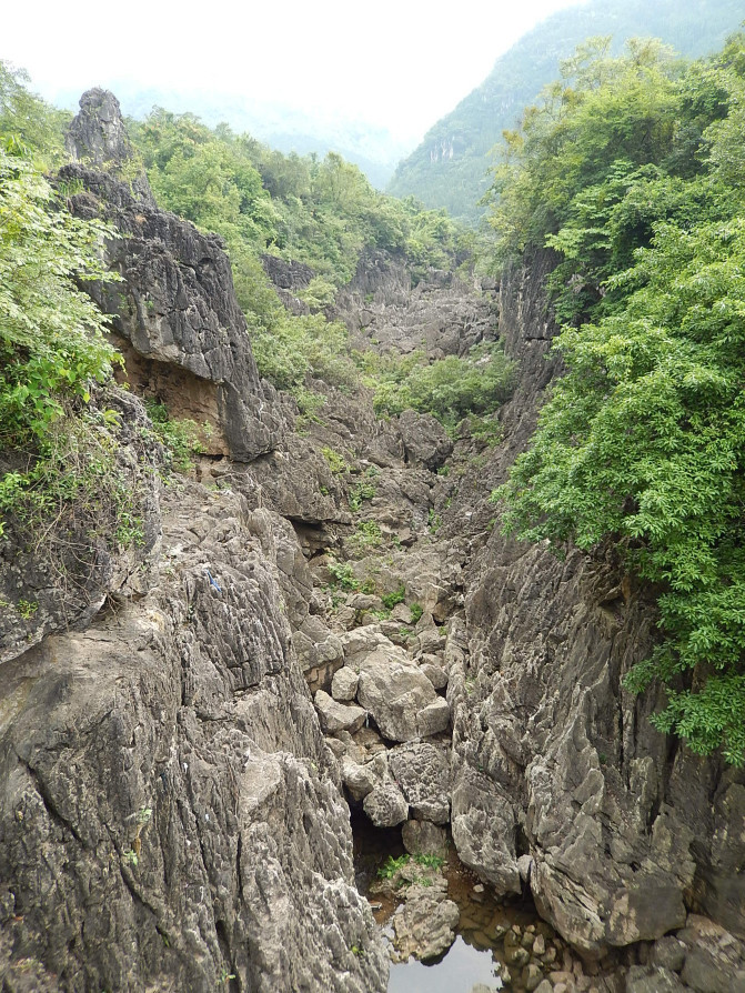 10010d0000006vuz07188_R_1024_10000_Q90.jpg