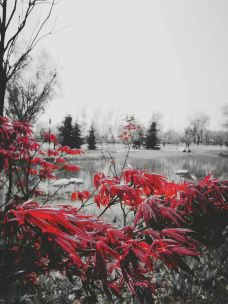 宁陕图片,宁陕风景图片,宁陕旅游照片\/景点图片