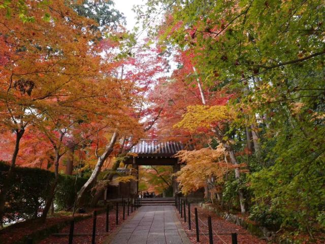 長岡京市光明寺攻略,長岡京市光明寺門票/遊玩攻略/地址/圖片/門票